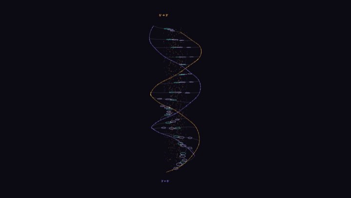 DNA and microtubule helices simulation